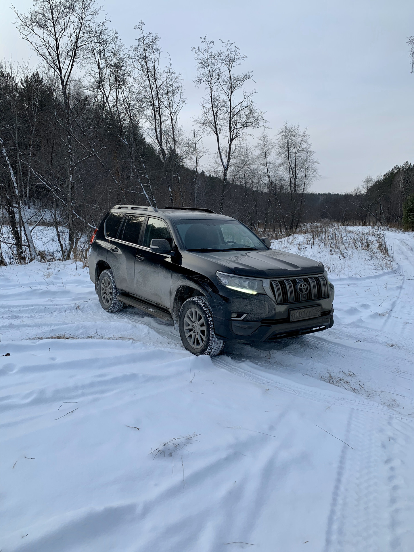 Любовь или брак по расчёту? Или почему я выбрал Прадо. — Toyota Land  Cruiser Prado 150-series, 2,8 л, 2019 года | покупка машины | DRIVE2