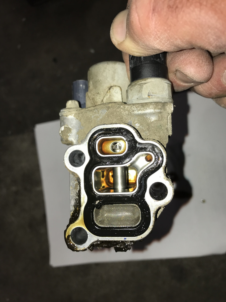 Фото в бортжурнале Acura RDX (1G)