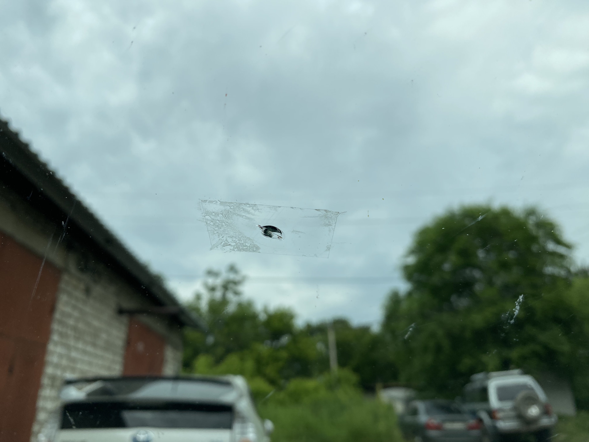 Сколы на лобовом стекле — Honda Shuttle (2G), 1,5 л, 2017 года | другое ...