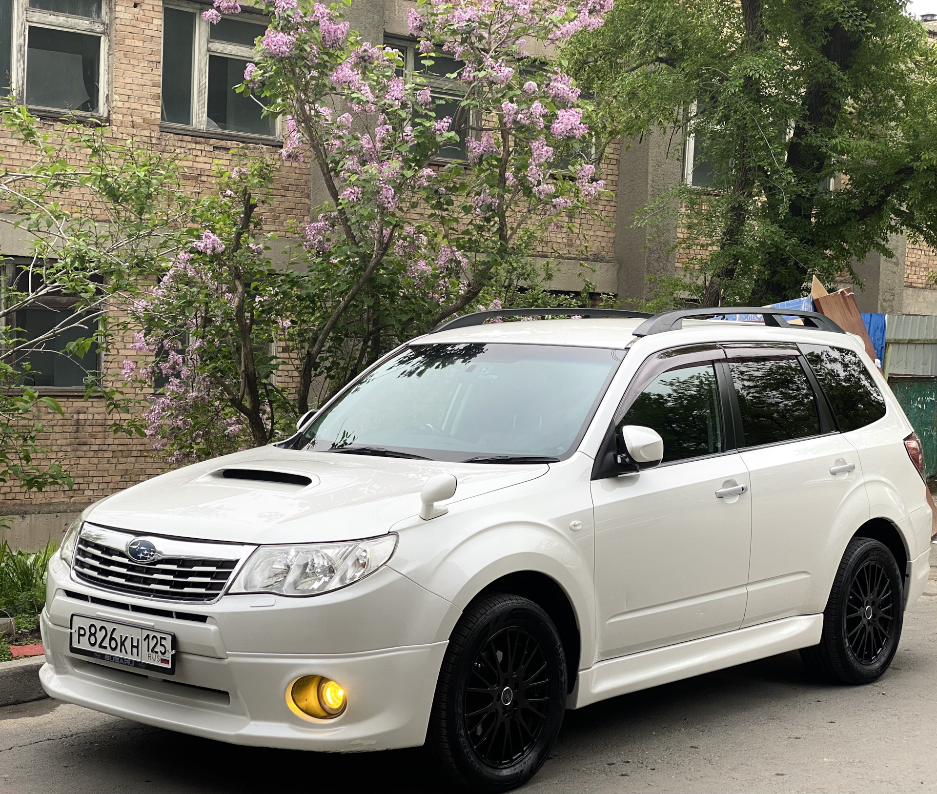 Форестер sh 2.0. Subaru Forester белый. Subaru Forester sh багажник на крышу. Forester sh с багажником на крыше. Багажник на крышу Субару Форестер sh.