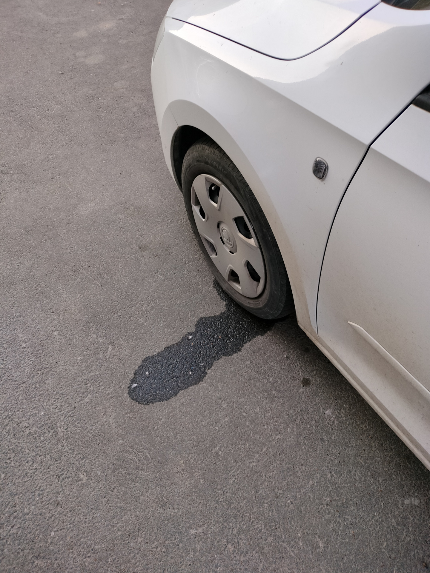 Снова ушел антифриз. Вытек. Замена помпы цфна — Skoda Rapid (1G), 1,6 л ...