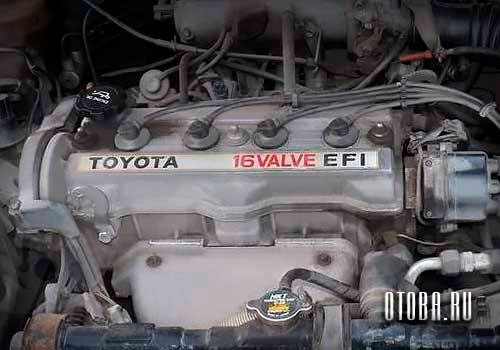 Взаимозаменяемость двигателей. 4afe — Toyota Sprinter Carib (AE95G), 1 ...