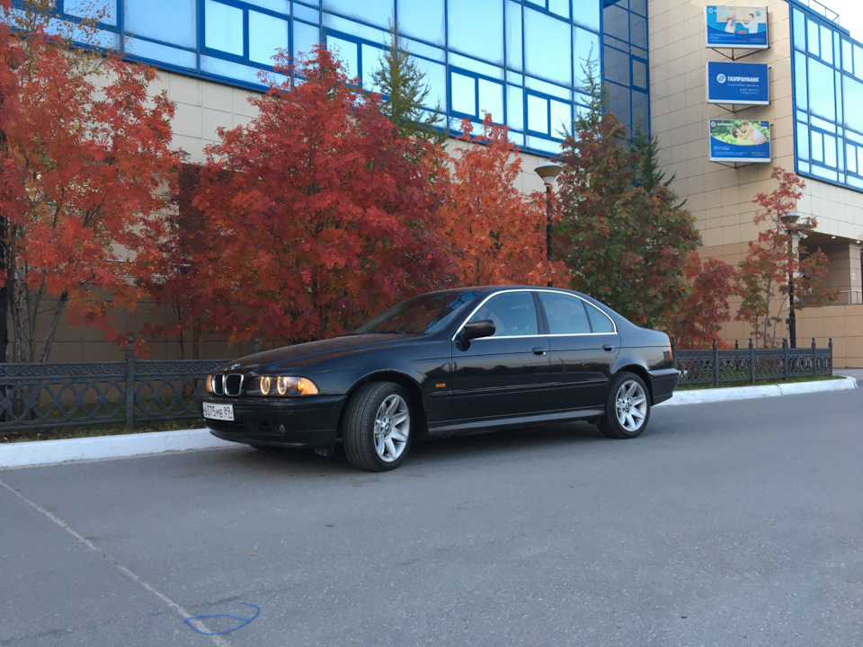 Фото в бортжурнале BMW 5 series (E39)