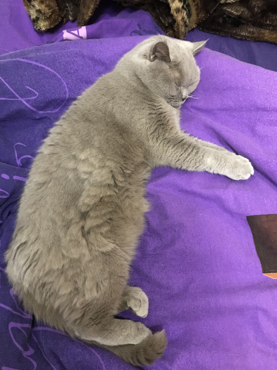 Фото в бортжурнале Ford Focus Wagon II