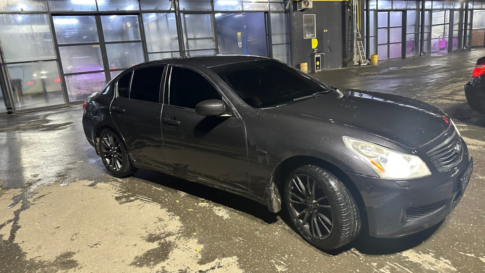 крокодил скан отзывы