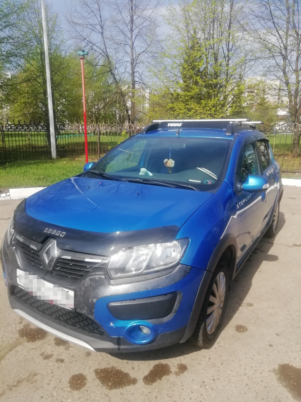 Фейринг — Renault Sandero Stepway (2G), 1,6 л, 2015 года | стайлинг | DRIVE2