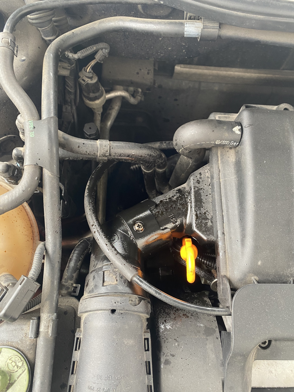 Вылилось масло — Volkswagen Golf Mk4, 1,4 л., 1999 года | поломка | DRIVE2