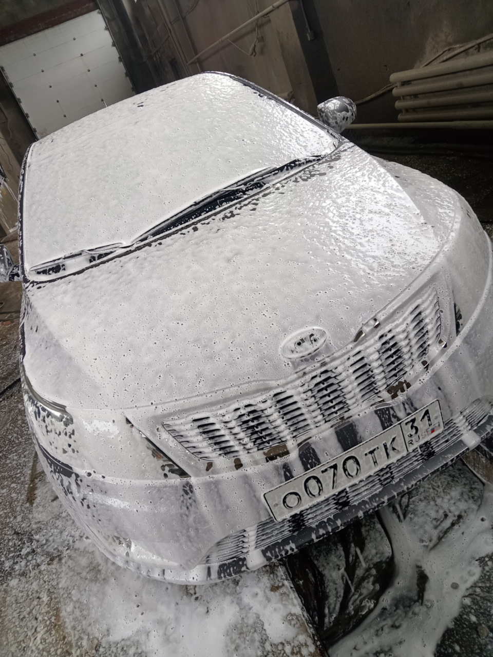 Фото в бортжурнале Skoda Octavia A7 Mk3