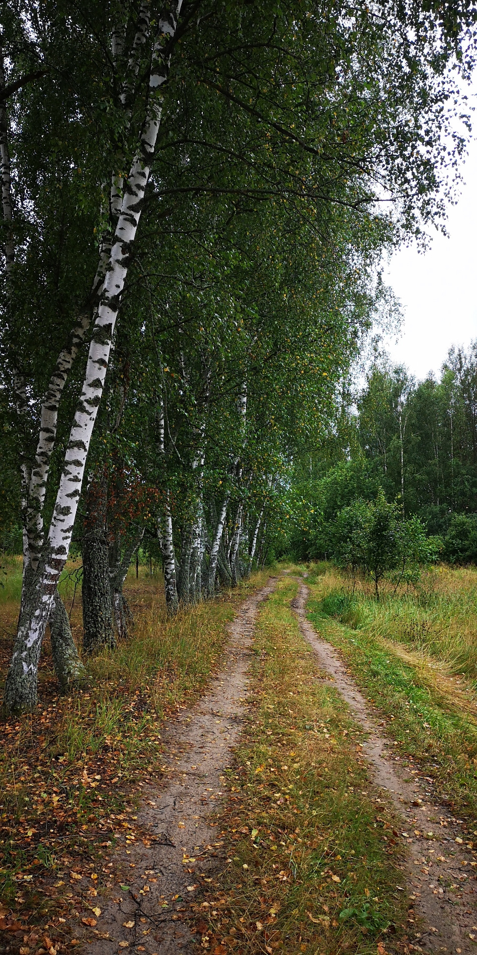 Погода киржач по часам