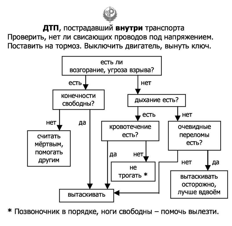 План действий при дтп