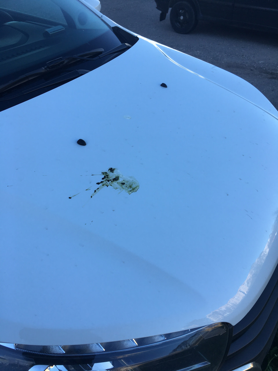 К счастью =) — Lada XRAY Cross, 1,8 л, 2018 года | наблюдение | DRIVE2