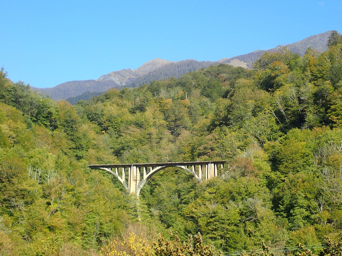 Мост Восточная Абхазия