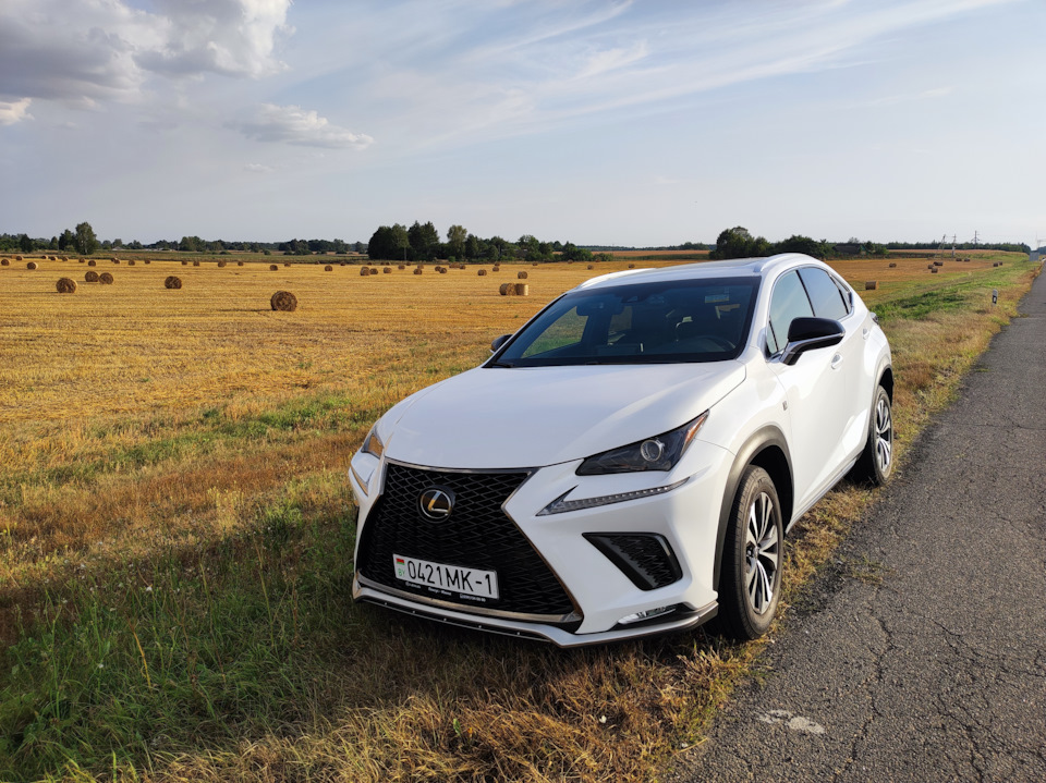 Lexus NX 300 F Sport