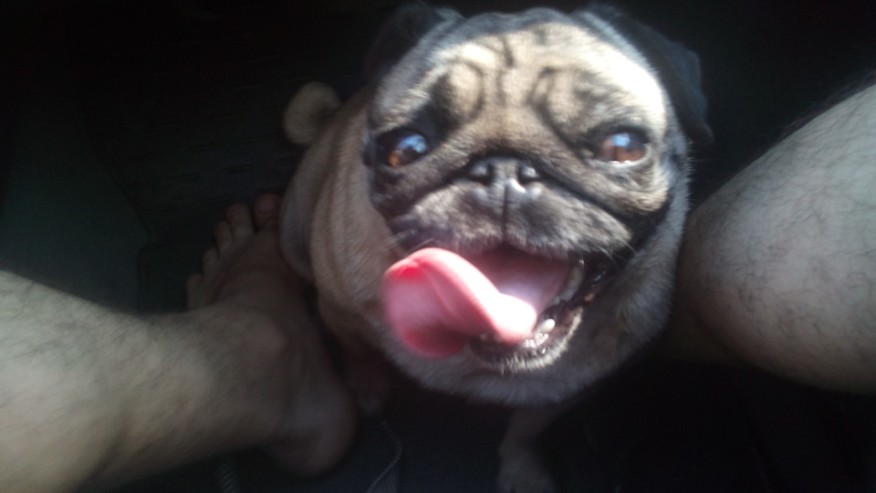 Фото в бортжурнале ИЖ 2715