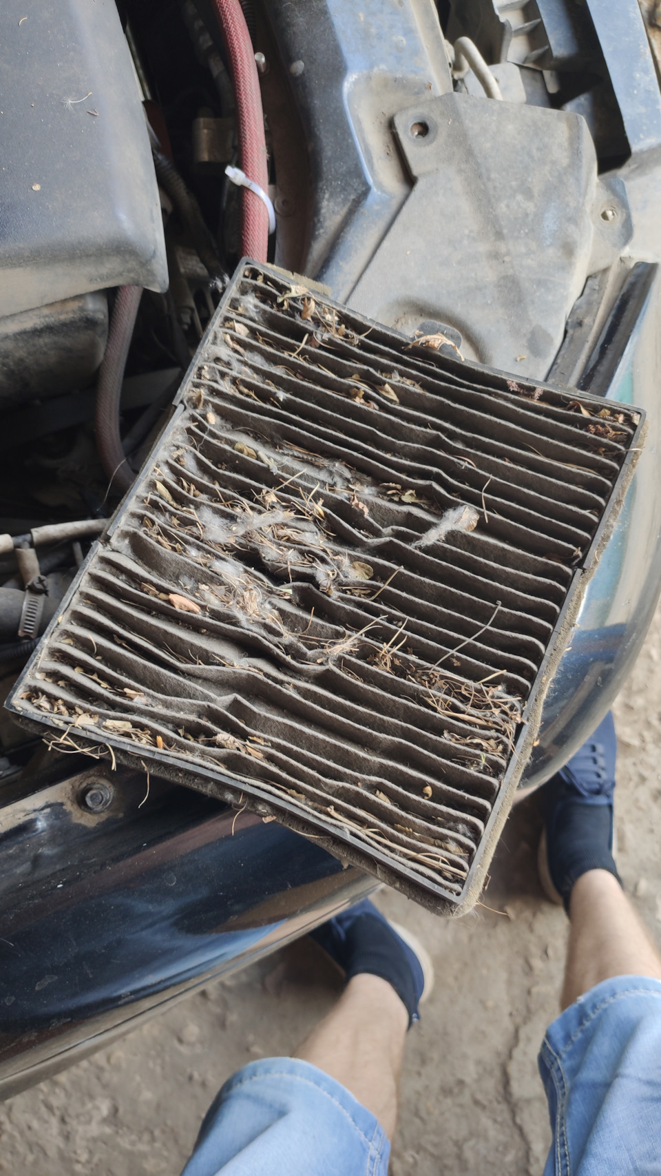 Фото в бортжурнале Lada Приора хэтчбек