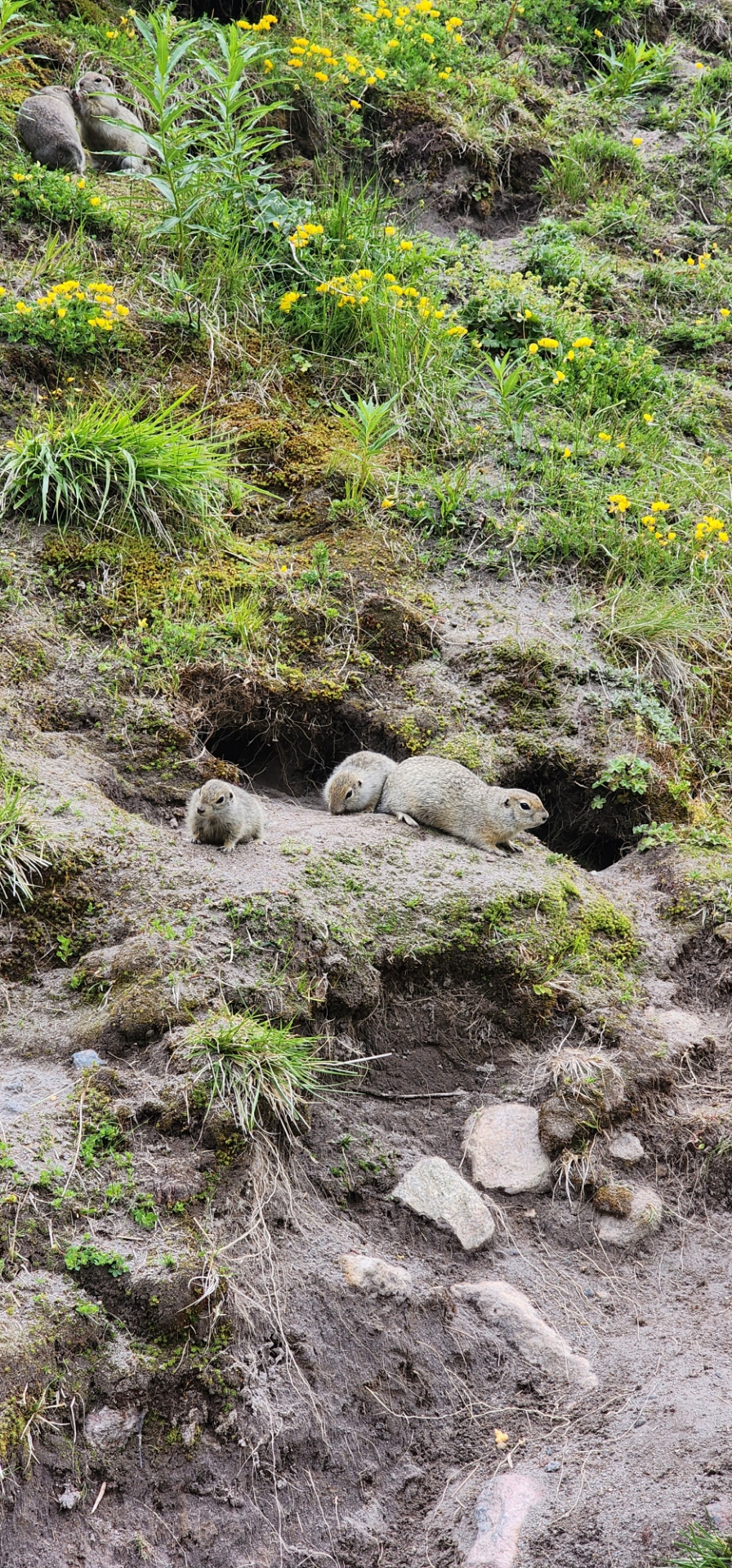 Фото в бортжурнале Mitsubishi Pajero Sport (3G)