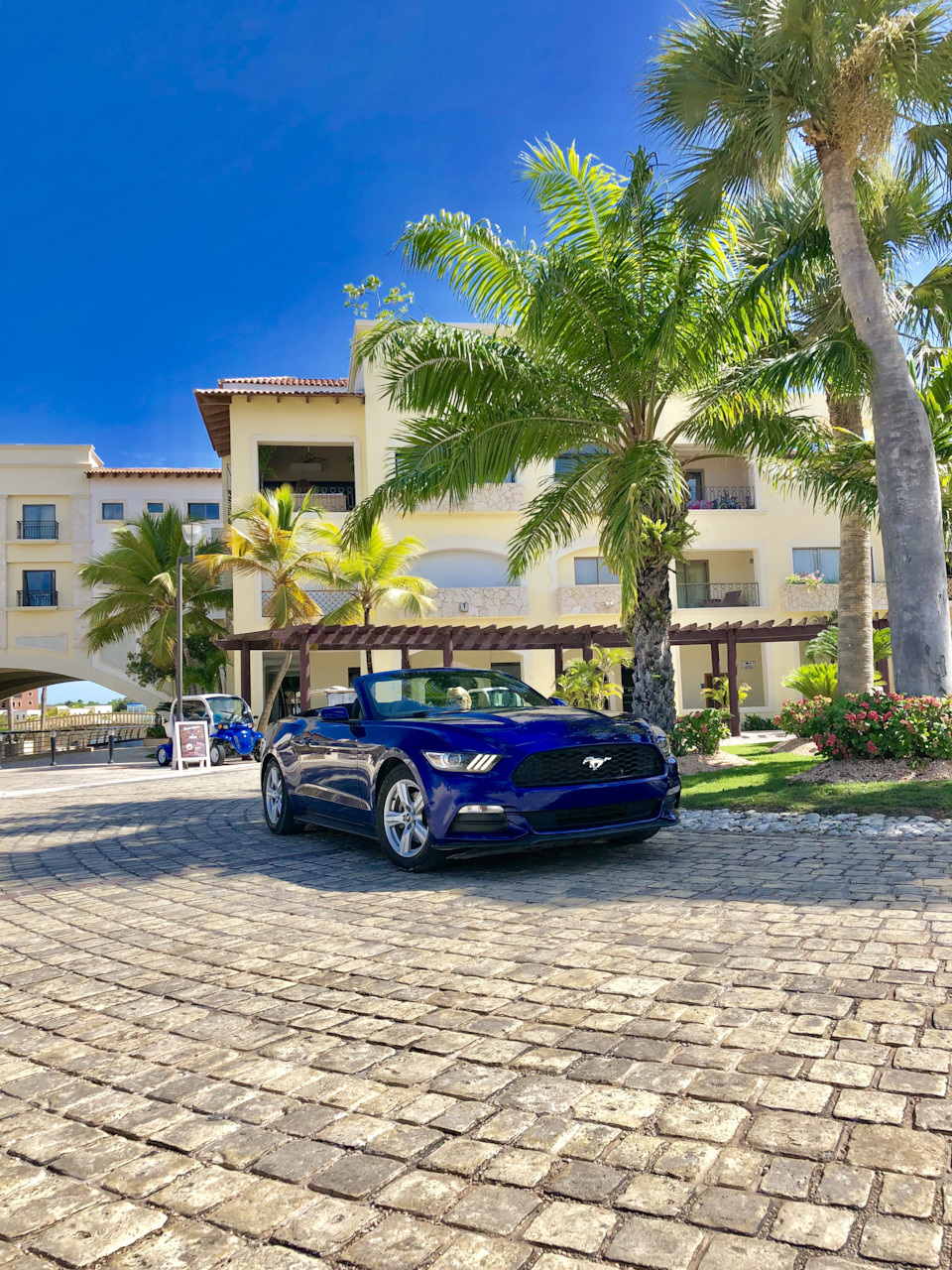 Ford Mustang — DRIVE2