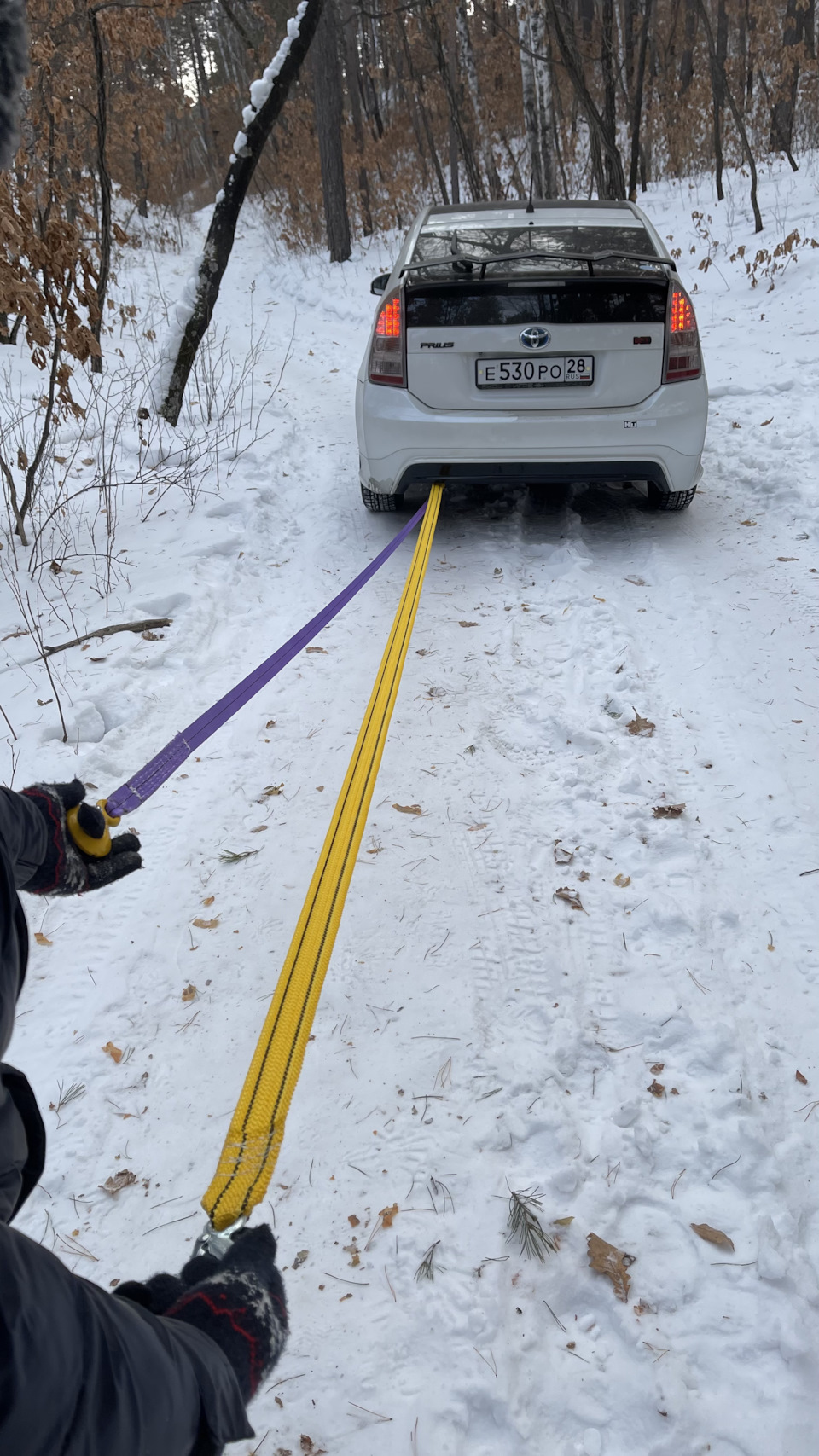 Фото в бортжурнале Toyota Prius (30)