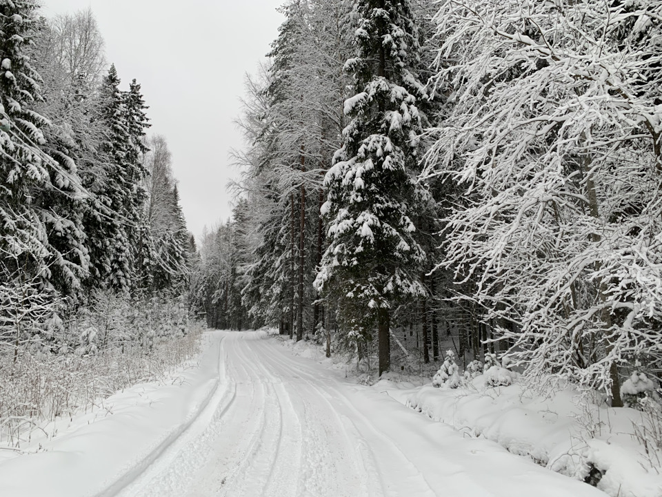 Зима… — Сообщество «Фотоальбом Драйва» на DRIVE2