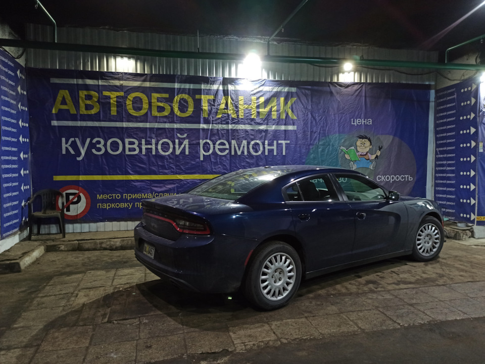 Сдаю автомобиль в Автоботаник — Dodge Charger (7G)