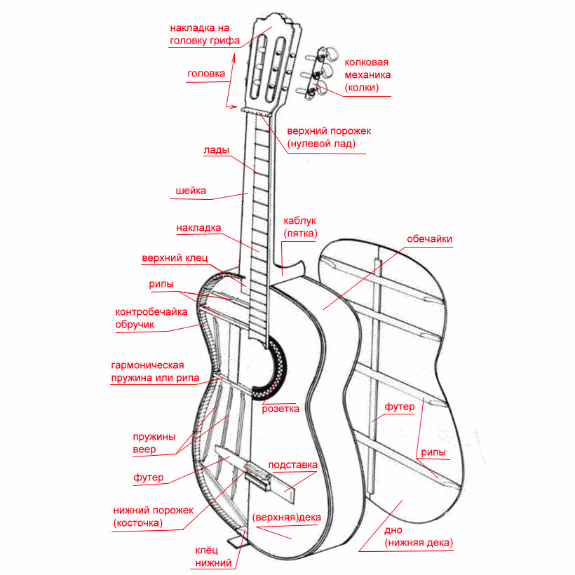 Строение гитары акустической. Строение гитары акустической 6 струнной. Как устроен гитара. Строение электроакустической гитары. Строение гитары акустической.