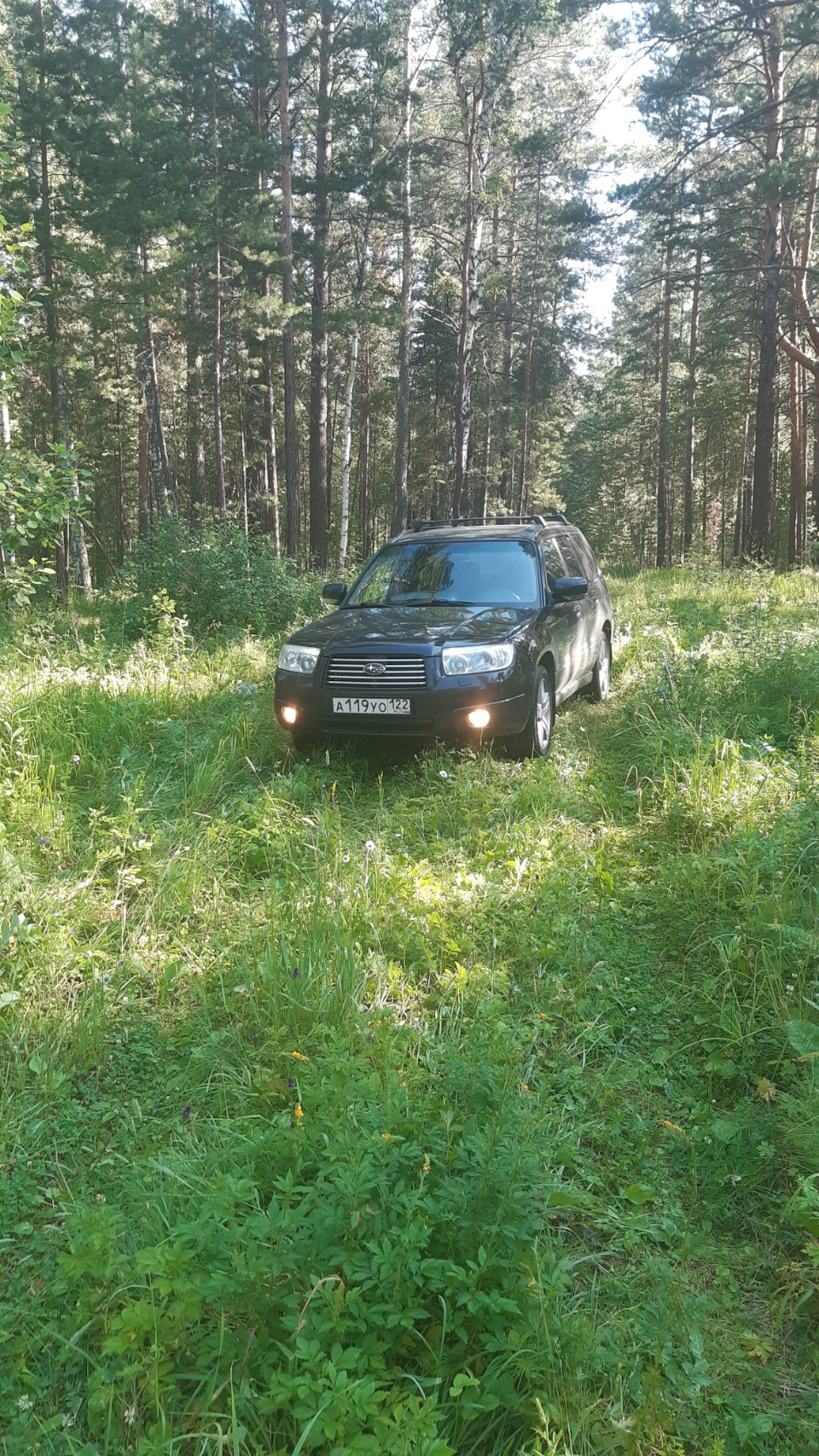 Лесник в лесу или поездка за грибами — Subaru Forester (SG), 2 л, 2007 года  | фотография | DRIVE2