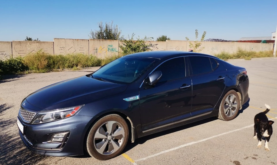 Ходовая — KIA Optima Hybrid, 2,4 л, 2014 года | наблюдение | DRIVE2