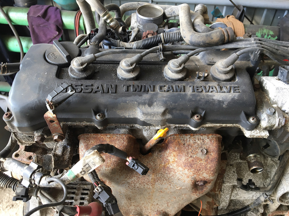 Более 560 комплектов прокладок двигателя для NISSAN SUNNY в каталоге интернет-магазина