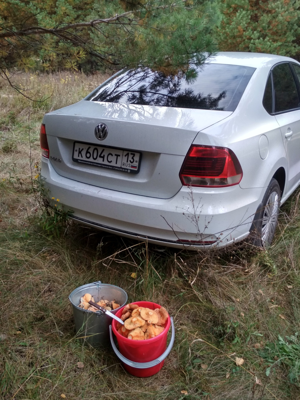 Сказка про лес, грибы и проходимость Поло Седан! — Volkswagen Polo Sedan,  1,6 л, 2018 года | покатушки | DRIVE2