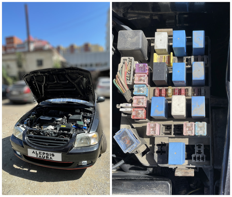 Посередине сверху синий — туманки, а сигнал чёрный. — Hyundai Accent (2G)