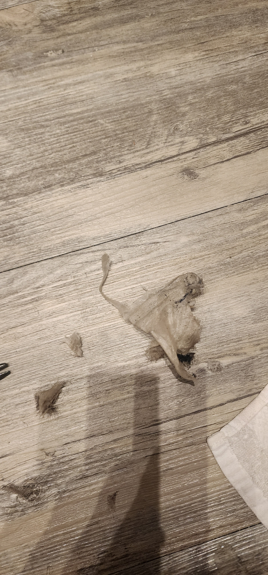 35$: Удаление мешка из расширительного бачка с ОЖ и замена антифриза ...