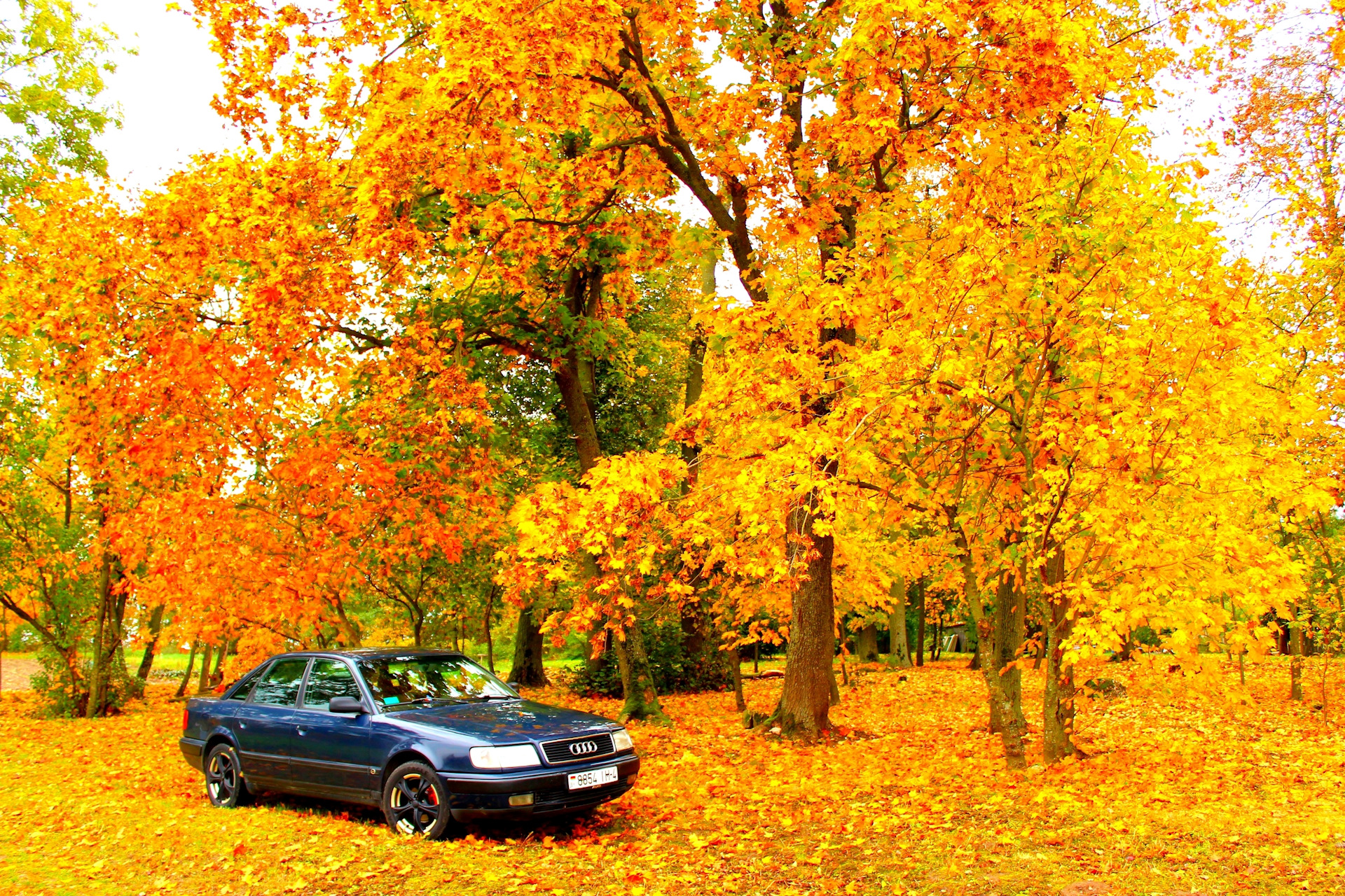 100 осень. Audi 100 осень. Ауди autumn. Ауди осень картинки.