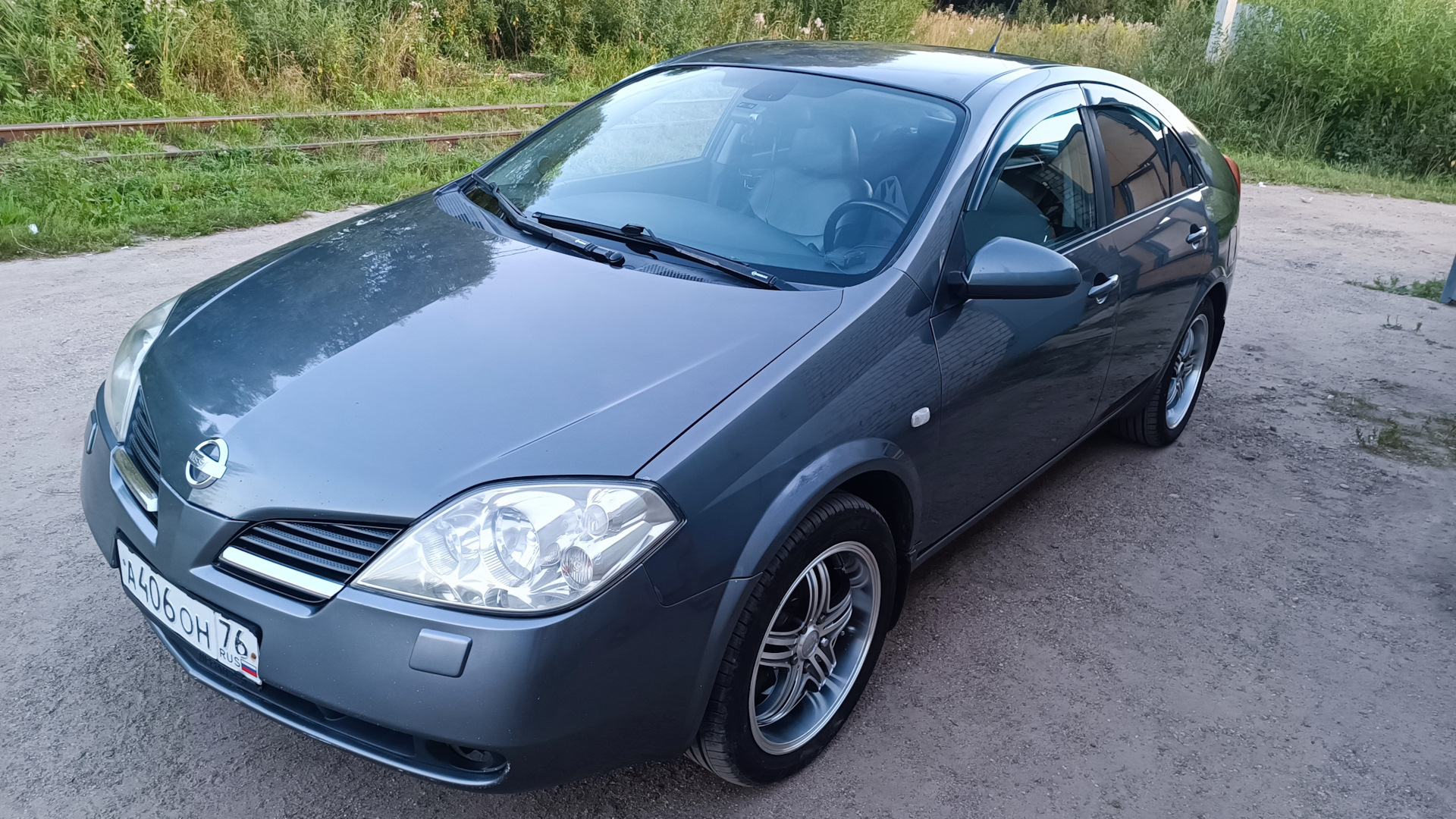 Nissan Primera (P12) 1.8 бензиновый 2005 раненый котёнок на DRIVE2