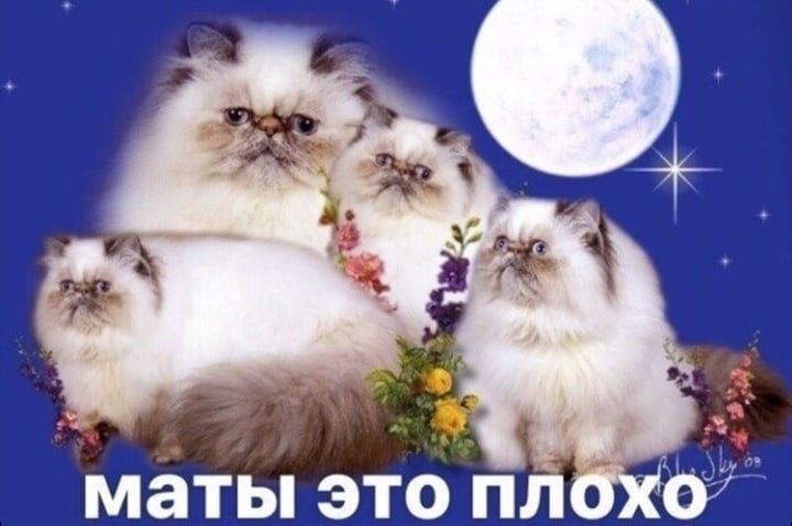 Мемы про маты