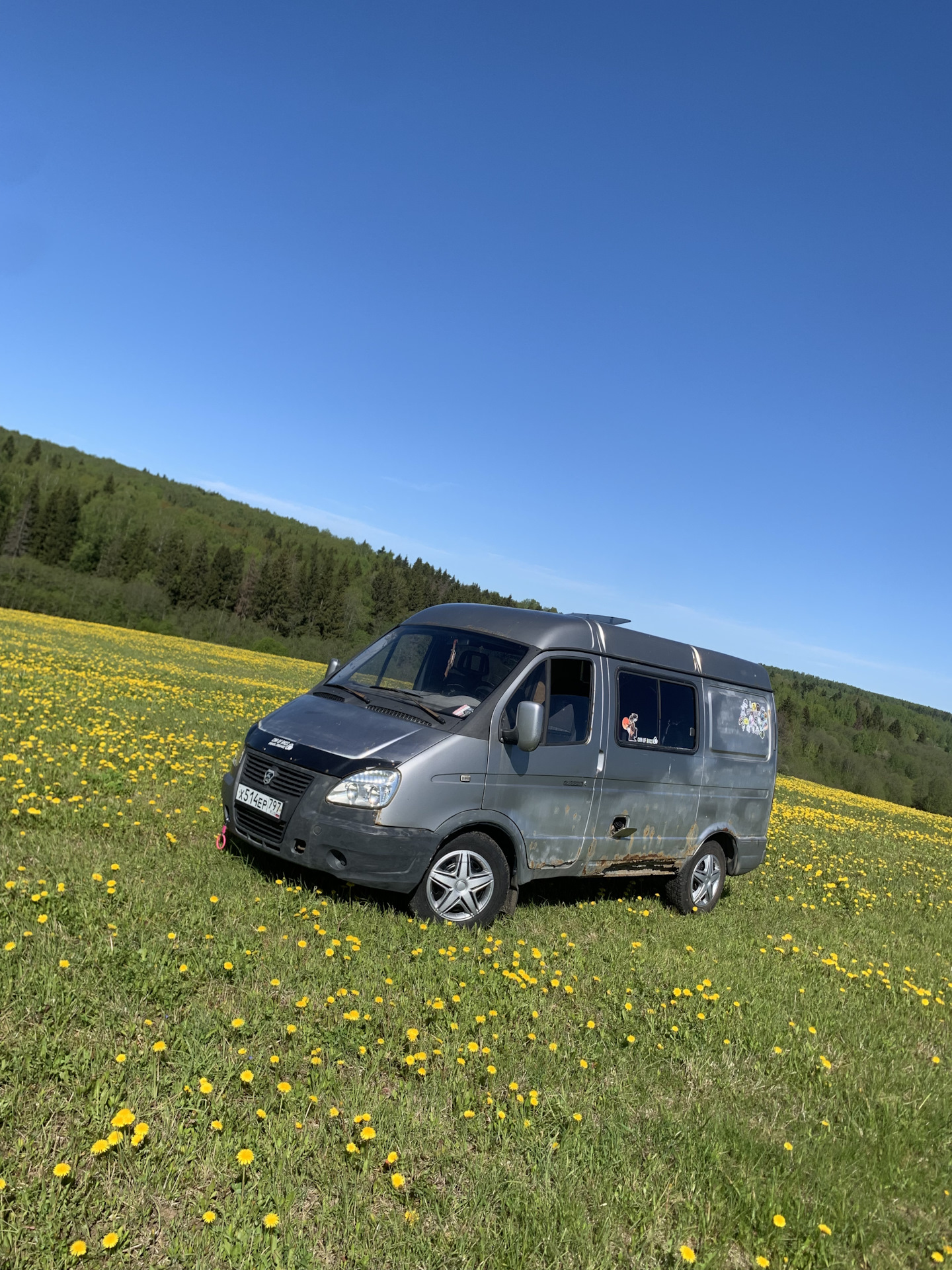Вывел Соболя на прогулку. — ГАЗ Соболь, 2,2 л, 2006 года | фотография ...
