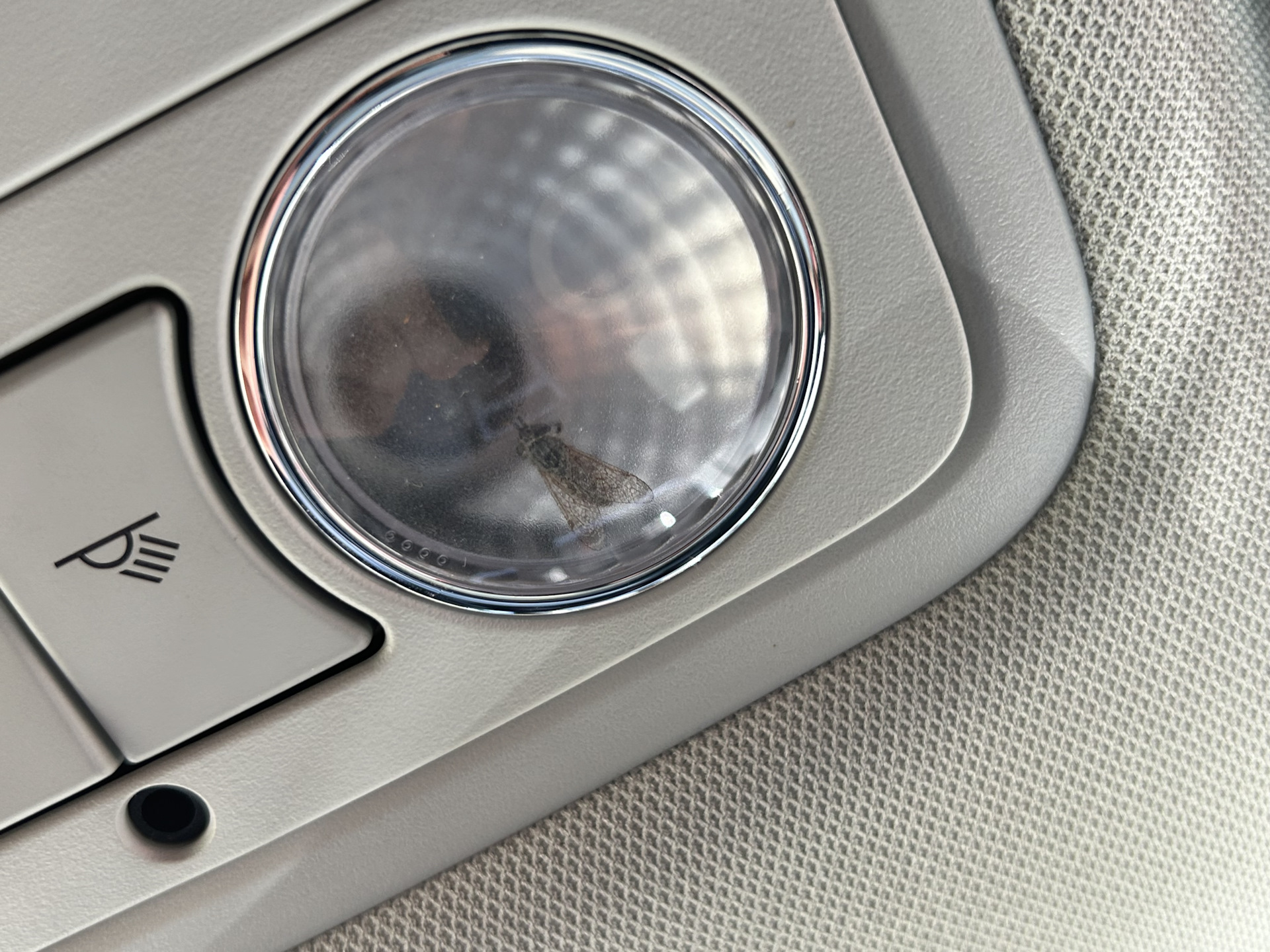 Срочная новость! — Skoda Octavia A7 Mk3, 1,6 л, 2014 года | прикол | DRIVE2