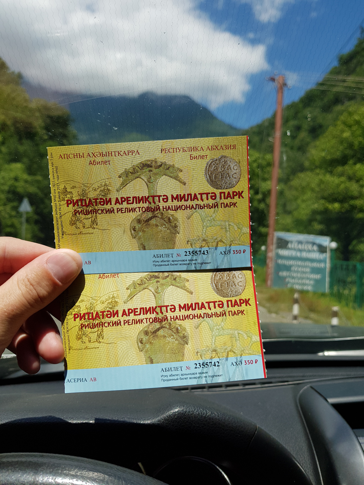 Абхазия билеты на самолет. Рицинский реликтовый национальный парк билет. Билеты в Абхазию.