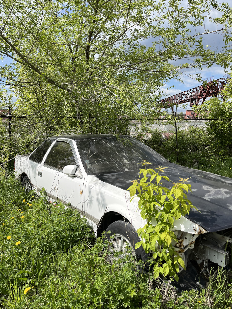 Покупка некрушки — Toyota Soarer (2G), 4 л, 1989 года | покупка машины |  DRIVE2