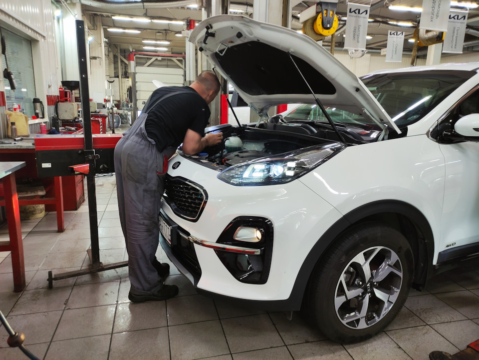 Автомобиль подходит под сервисную инспекцию qle замена предохранителя hecu