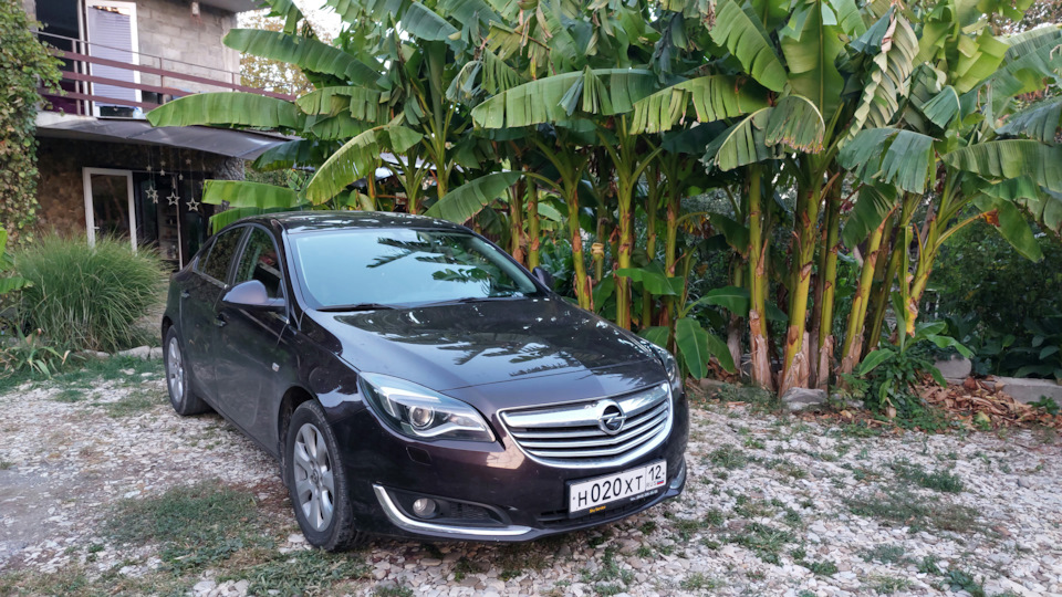 Opel Insignia Подружка Антары