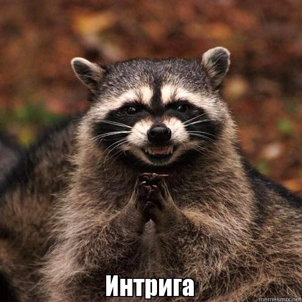 Интрига😏 — Ford Fusion, 1,4 л, 2008 года | запчасти | DRIVE2