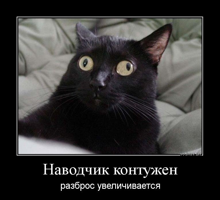 Мем с косым котом
