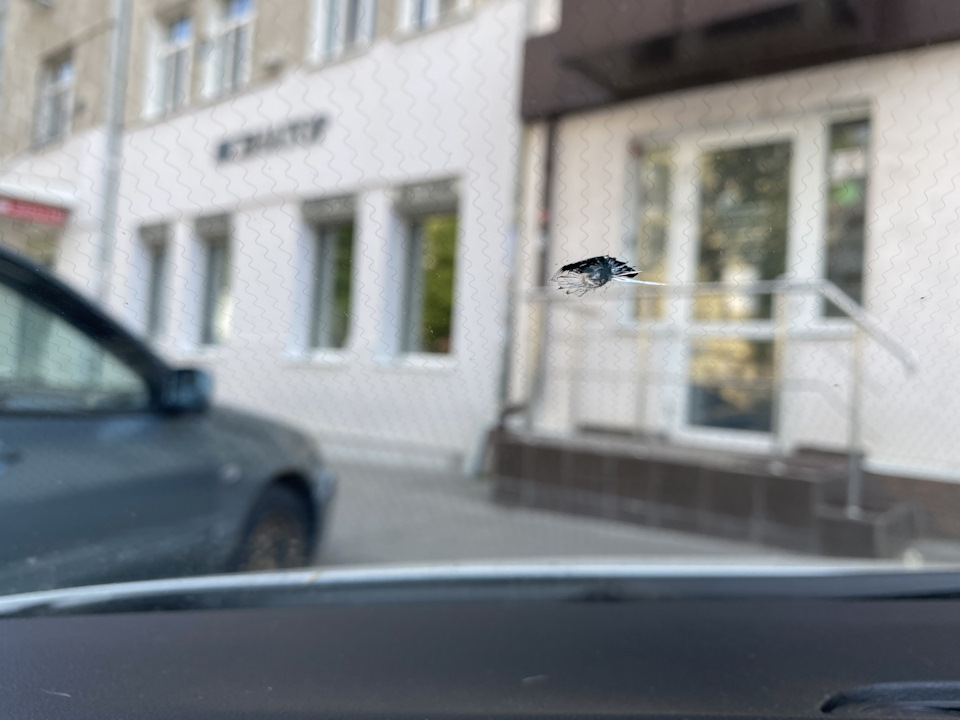 Как самому покрасить спойлер на авто. Смотреть фото Как самому покрасить спойлер на авто. Смотреть картинку Как самому покрасить спойлер на авто. Картинка про Как самому покрасить спойлер на авто. Фото Как самому покрасить спойлер на авто