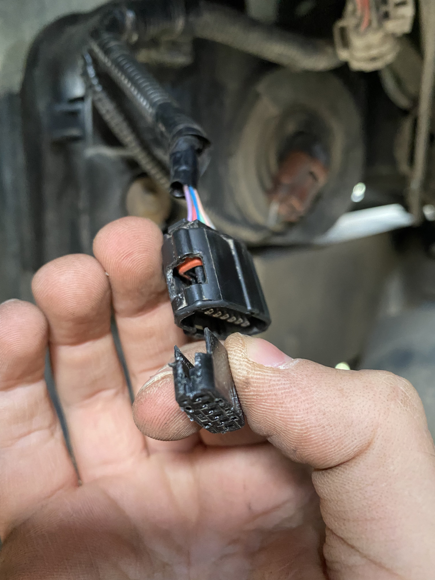 Передние парктроники. Диагностика и ремонт. — Toyota Land Cruiser 200 ...