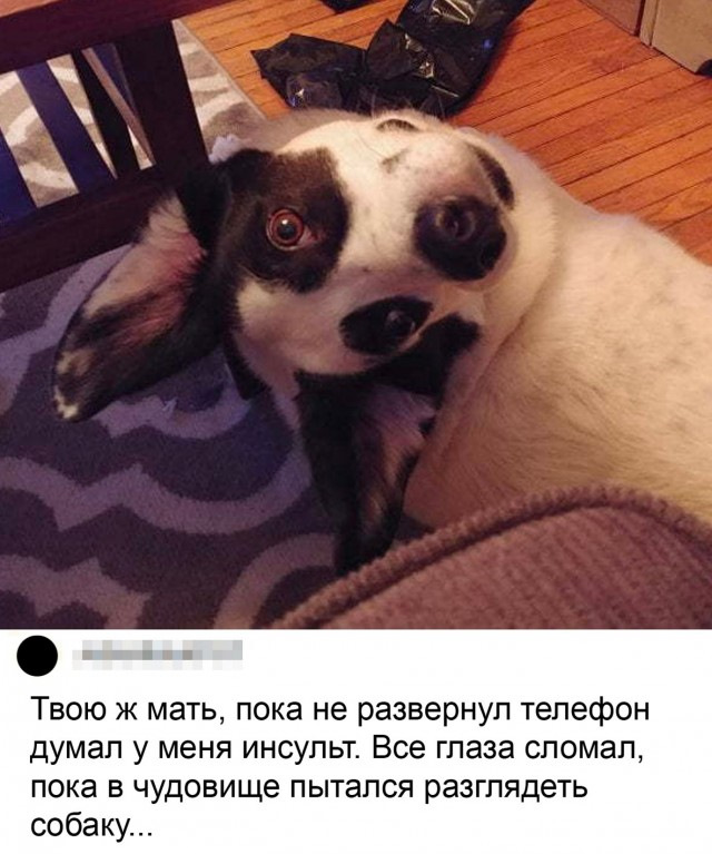 Kartinki Soobshestvo Pozitivov Zy Na Drive2