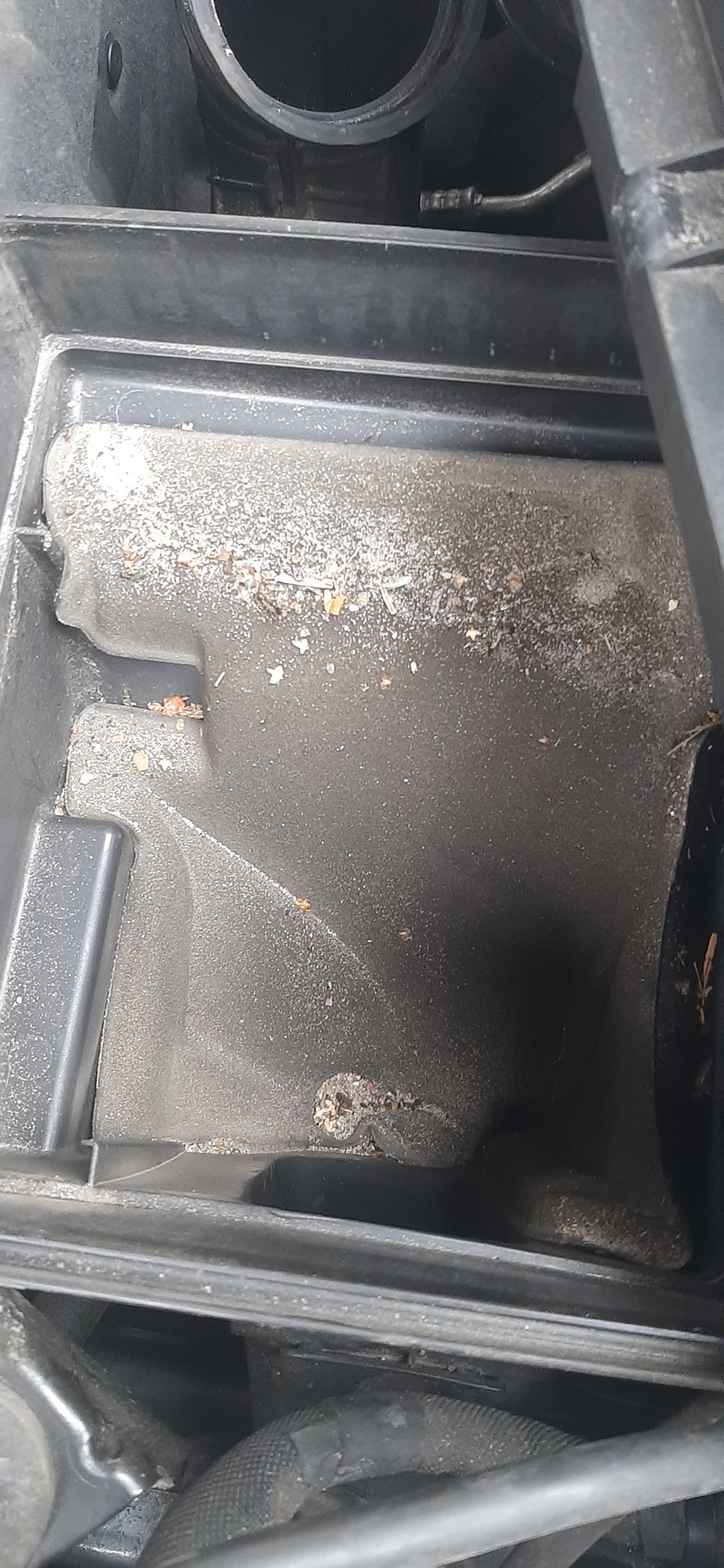 Фото в бортжурнале BMW 4 series Gran Coupe (F36)