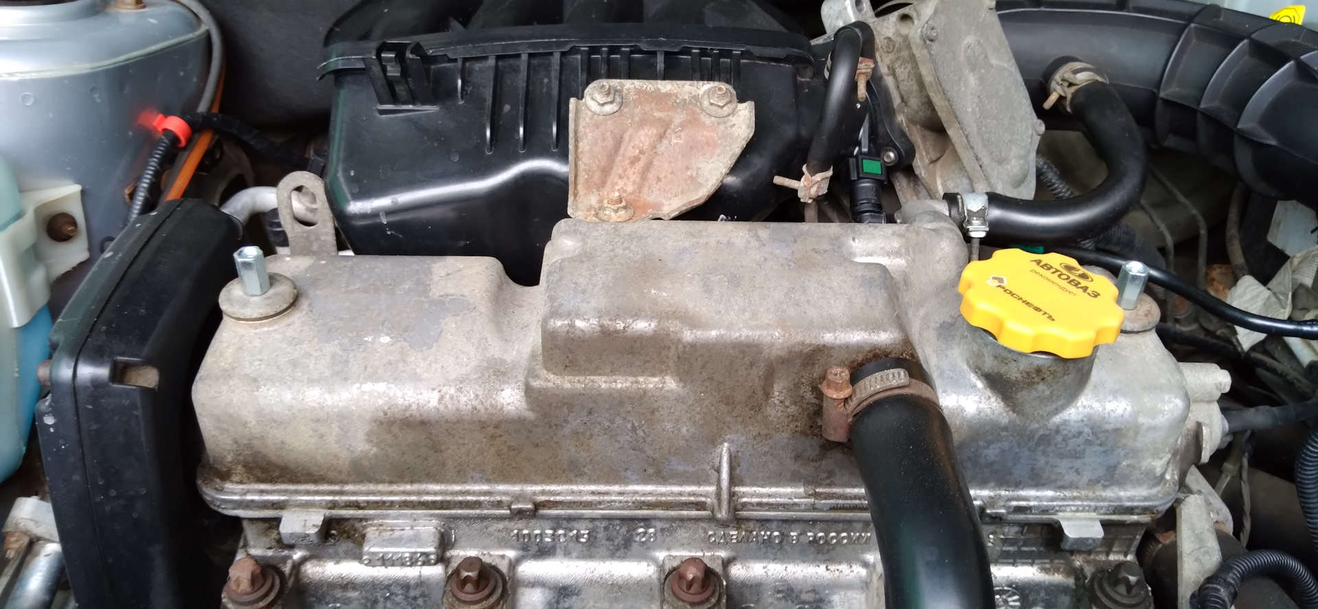 Калину трясет. Калину трясет. Мотор калина спорт 1. Калина обыкновенная жолобовская. Мотор калина 1.