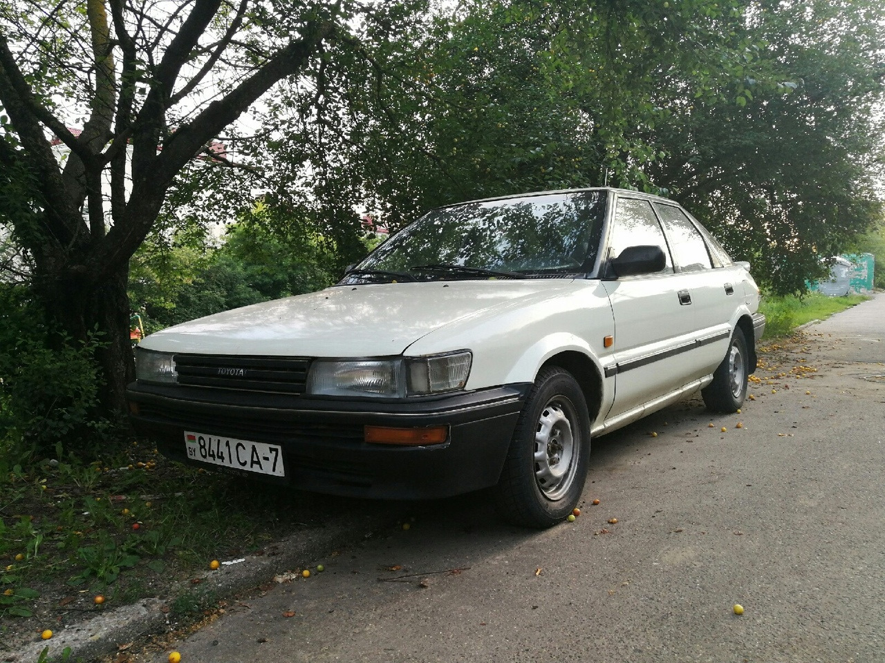 Тойота королла 1989 года. Toyota Corolla 1989. Тойота Королла 1989. Toyota Королла 1989. Toyota Corolla 1989 года.