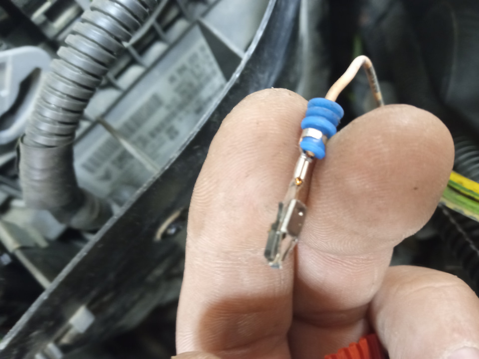 Дальний как ДХО — Peugeot 307, 1,6 л, 2007 года | аксессуары | DRIVE2