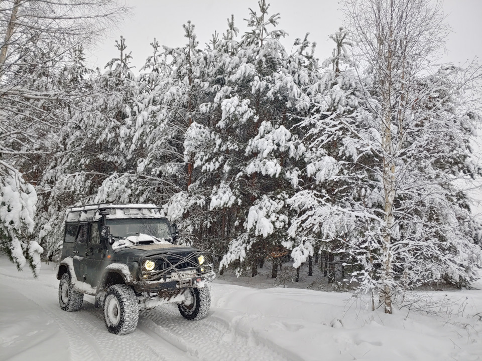 Фото из зимнего леса. Обкатка УАЗ Hanter QD32T — УАЗ 315195 Hunter, 3,2 ...